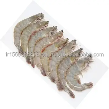 Crevettes Vannamei congelées, achetez des fruits de mer congelés aux crevettes blanches 100%