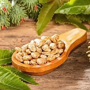 Semillas de aceite de ricino híbridas de alta calidad de primera calidad, Exportación a granel, semillas de ricino de alto contenido de aceite para extracción de aceite, biocombustible al por mayor - Product Image 1