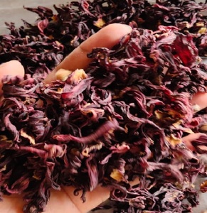 ดอกชบาแห้งพรีเมียม |   อุดมไปด้วยสารต้านอนุมูลอิสระ |   ส่งออกสินค้าจำนวนมากและขายส่งจากอินเดีย - Product Image 4