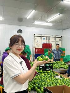 CITRONS VIETNAMIENS PREMIUM SANS GRAINES, FRAIS, JUS ET LONGUE DURÉE DE CONSERVATION - Product Image 3