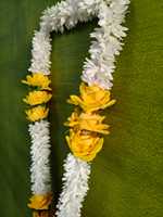 Vente en gros de Milni Mala traditionnel indien au jasmin et à la rose jaune avec des perles de perles, Jaimala pour la mariée et le marié pour la Pooja, le temple, le mariage