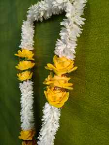 Milni Mala Tradicional India al por Mayor con Cuentas de Perlas de Jazmín y Rosa Amarilla, Jaimala para Novios, para Pooja, Templo, Boda - Product Image 2