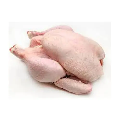 Quality Halal Certificated Frozen Chicken Eating Cooking Food Bulk Leg Meat Grade Feet Meat