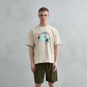 T-shirt Imperio da uomo, vestibilità regular, grigio-verde, 100% cotone anti-pilling, stampa floreale Thailandia Phuket, manica corta, casual, 240g - Product Image 1