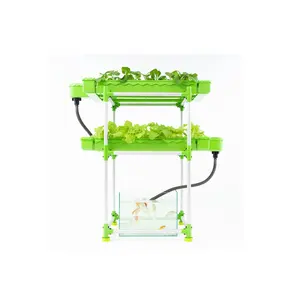 Açık Aquaponics balık yetiştiriciliği ve hidroponik bitki büyüme kurulum büyük aile seti