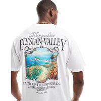 T-shirts décontractés pour hommes tendance de l'été, surdimensionnés, 100% coton, col rond, manches courtes, respirants, personnalisables, OEM/ODM