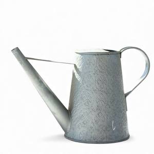 Arrosoir en métal galvanisé avec deux poignées de transport et une longue bec verseur de précision pour l'arrosage des plantes d'intérieur et d'extérieur - Product Image 2