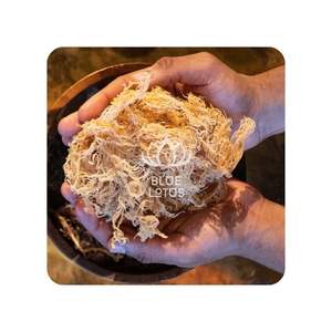 HOT SALE Blue Lotus <b>Raw</b> Seamoss 2025 clean ocean dried <b>moss</b> picked from natural <b>sea</b> beds - Product Image 1
