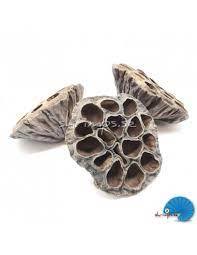 Offrez à vos souris un environnement attrayant et naturel avec Suffle Lotus Pods - Product Image 2