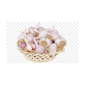 กระเทียมขาวสด ราคาถูก ขนาดสม่ำเสมอ คุณภาพพรีเมียม - Product Image 2