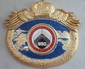 Cinturones de campeonato de boxeo Trofeos Medallas y premios el símbolo definitivo de la victoria y la excelencia Cinturones de Campeonato - Product Image 1