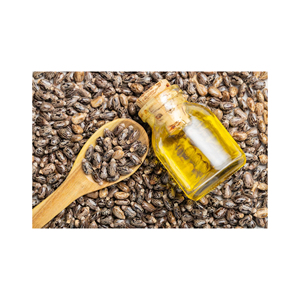Huile de ricin de haute qualité, huile naturelle, approvisionnement en vrac, commerce de gros, qualité export - Product Image 4