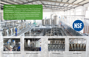 Высококачественный травяной экстракт бакопа Монье, экстракт порошка с бакопером 20%-50% - Product Image 5