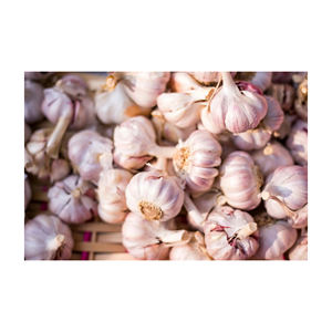 Ail blanc frais biologique 100% naturel de Belgique, durée de conservation de 12 mois, légumes en vrac - Product Image 1