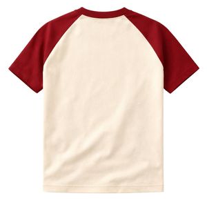 Camiseta Raglán de Chenilla Phi Nu Pi, Talla Estándar, Algodón Premium, Bordada, Ropa de Fraternidad Griega - Product Image 5