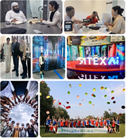 Top 10 des agents maritimes : Service de logistique internationale DDP avec inspection gratuite, transitaire express mondial Chine, ligne spéciale