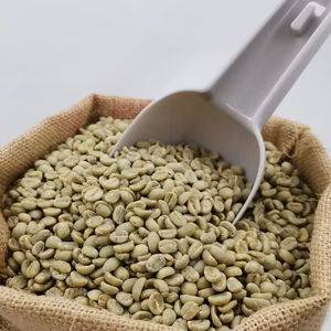 เมล็ดกาแฟโรบัสต้าคั่วคุณภาพสูง ออร์แกนิคจากเวียดนาม ได้รับการรับรองมาตรฐาน ISO 22000 ขนาด 16 ธรรมชาติ 100% ได้รับการรับรองจาก USDA จำหน่ายแบบขายส่ง - Product Image 1