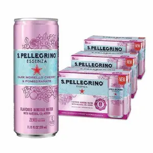 S.Pellegrino Bruisend Water | 1 Liter Petfles 12-Pack
