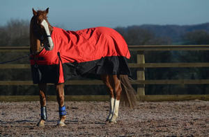 Best Quality Custom Made Winter <b>Horse</b> <b>Rugs</b> Lightweight Polyester Waterproof and Breathable - Product Image 6