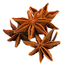 Fabricante de aceite esencial de anís puro Amarnath exporta aceites naturales precio al por mayor calidad premium compra a granel - Product Image 3