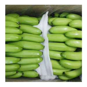 Delicia de plátano fresco de arboledas tropicales de Vietnam, naturalmente dulce y fácil de usar en batidos, postres con Plátano fresco - Product Image 1