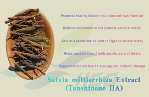 HGO, suministro directo de fábrica, extracto de Salvia miltiorrhiza Natural puro (grado alimenticio saludable), especificación Tanshinone IIA 30% - Product Image 5