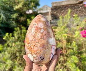 Cobra stone egg Artistic Semi Precious Stone Craft Using Authentic Agate Perfect For Handmade Displays Desk Accessories - Product Image 2