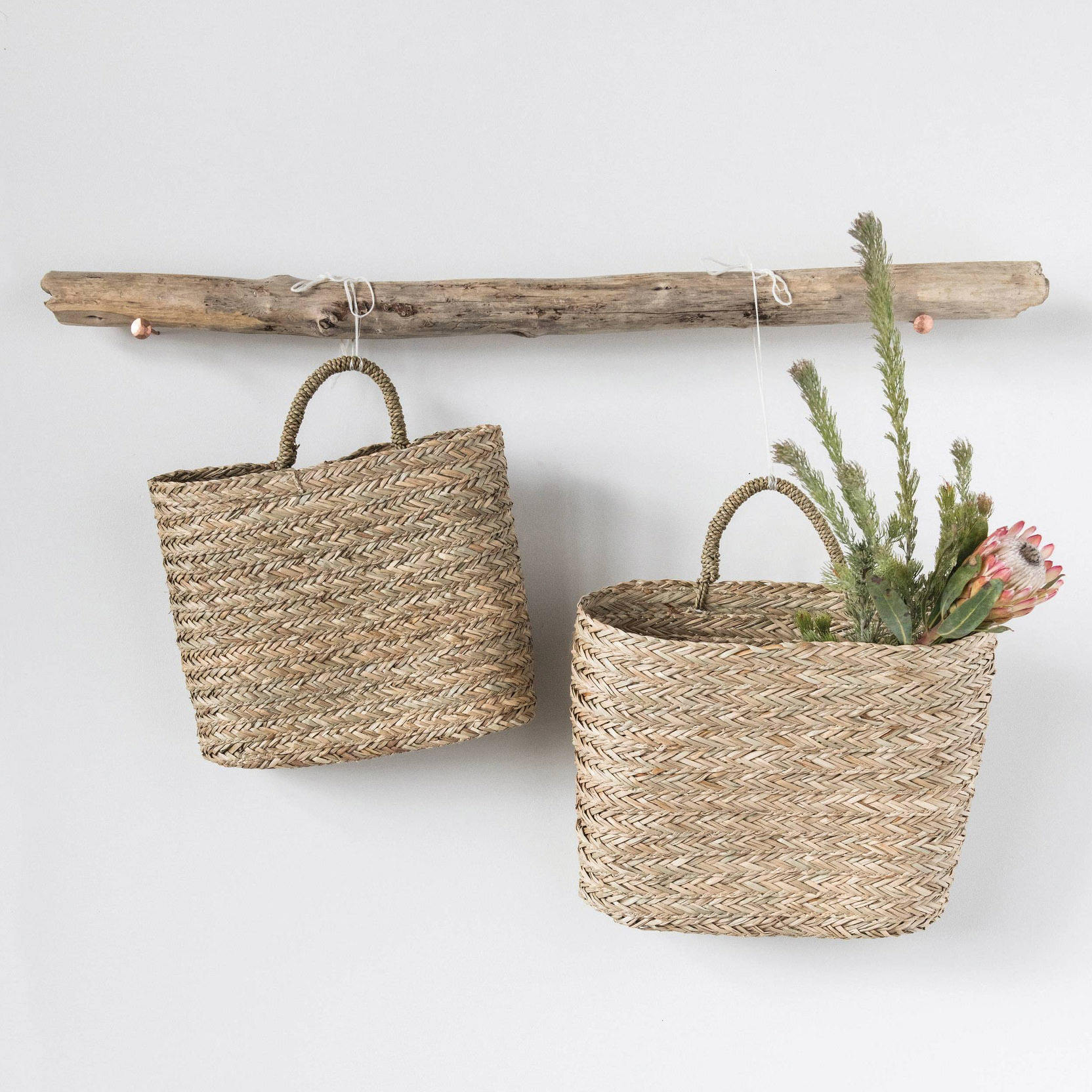 ธรรมชาติ