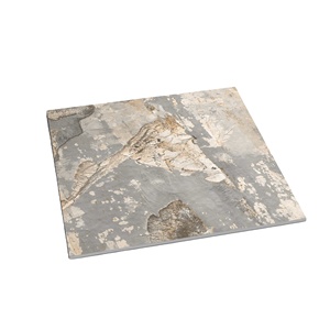 Carreaux de sol en porcelaine anti-acide classique d'hôpital Finition mate rustique 60x60 Fournisseur principal pour les carreaux de sol en porcelaine - Product Image 1