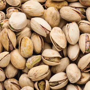 Pistachio Nuts Wholesale Top Quality For Export Best Price