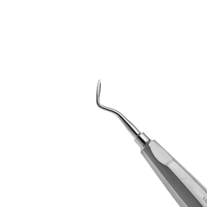 Outil d'extraction de dents en acier pour gaucher Dernier ascenseur de racine dentaire manuel Instrument chirurgical dentaire Taux de gros 2025 - Product Image 6