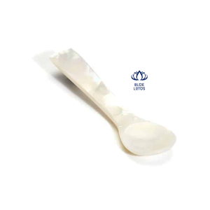 Cuillère à coquille de conque au meilleur prix du Vietnam pour l'exportation - Product Image 3