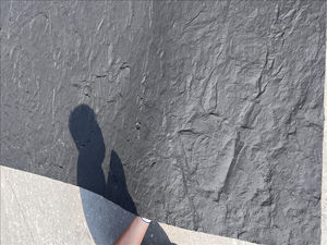 Panneaux muraux modernes légers et imperméables avec service OEM, solutions d'emballage personnalisé et de conception graphique - Product Image 3