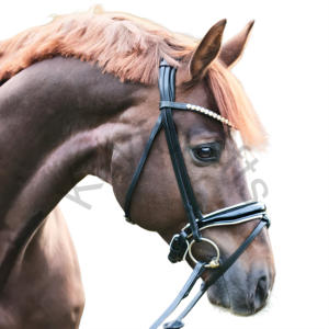 Brida de doma curva para cejas con tocado anatómico y banda nasal extraíble - Product Image 2