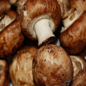 Champignons surgelés frais prêts à l'exportation à vendre à des prix avantageux - Product Image 2