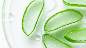 ก้อนว่านหางจระเข้นุ่มให้ความสดชื่นบริสุทธิ์สำหรับการรับประทานอาหารที่สะอาดและการใช้ชีวิตที่เป็นประโยชน์ - Product Image 5