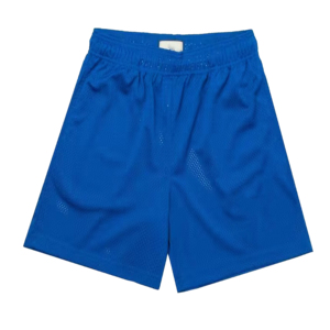 Style décontracté Fabriqué au Pakistan Shorts de sport Sublimation légère 2025 Short personnalisé pour hommes 100% polyester Mesh Plain Dyed Shorts - Product Image 2