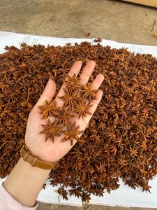 Anis étoilé séché de la meilleure qualité mélange d'épices et d'herbes d'automne épicées certifié ISO pour les ingrédients alimentaires à des prix compétitifs - Product Image 3