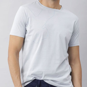 T-shirt en coton pour hommes Logo personnalisé OEM Séchage rapide Respirant Léger Fitness Sports Gym Team Outdoor Casual Unisex Apparel - Product Image 2