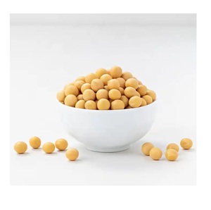 Graines de soja fraîches à vendre, qualité supérieure, disponibles en gros et en détail, distribution mondiale - Product Image 4