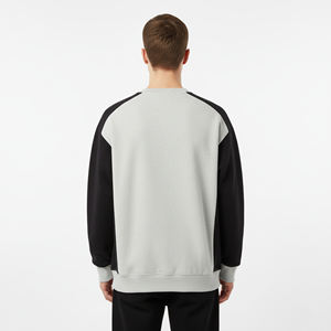 Venta caliente 100% algodón 500 GSM cuello redondo de talla grande sudadera de invierno para hombre Sudadera con capucha apliques bordados personalizados transpirables de gran tamaño - Product Image 2