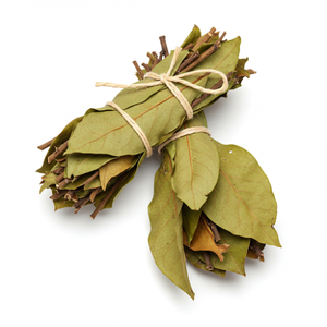 Feuilles de corossol de qualité supérieure du Vietnam Meilleur prix Produit agricole - Product Image 5