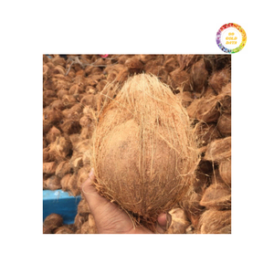 Noix de coco semi-décortiquée fraîche de haute qualité d'exportation 1000g Noix tropicale du Vietnam pour la cuisson des aliments, la fabrication de boissons et les recettes - Product Image 3
