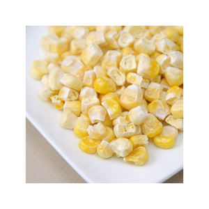 Maíz blanco en stock para envíos y comercio internacional - Product Image 3