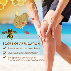 Best Selling Products 2026 <strong>Pain</strong> <strong>Relieving</strong> Patch Natural Ingredients Knee Patch Bee Venom <strong>Plaster</strong> Knee <strong>Pain</strong> <strong>Plaster</strong> Patch - Product Image 6