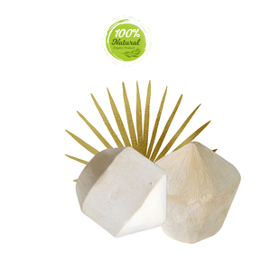 Diamant de noix de coco-la boisson parfaite pour les amoureux de la nature - Product Image 4