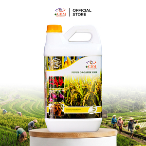 Engrais liquide 100% naturel et biologique Bio Pupuk pour le développement des racines des riz, du piment, de l'aubergine et des chou frisé, qualité export, 5 L - Product Image 1