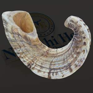 Golosinas para masticar de cuerno de carnero natural de primera calidad para perros-Artesanía de estilo animal pulido más vendida por Nhe Overseas - Product Image 3