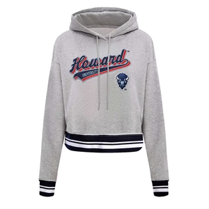 Sudadera con capucha personalizada Howard University BISON, forro lavado sólido Premium HBCU, bordado de serigrafía personalizado, 100% algodón - Product Image 2