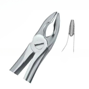 Forceps d'extraction dentaire Fig35, manuel, en acier inoxydable de haute qualité, certifié CE, instruments dentaires, vente chaude, logo personnalisé - Product Image 6